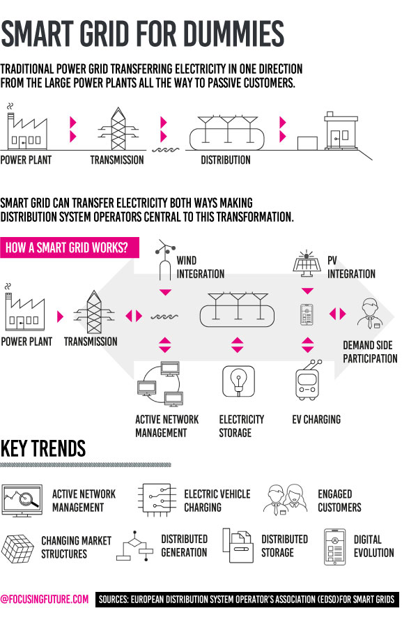 Smart grid for dummies